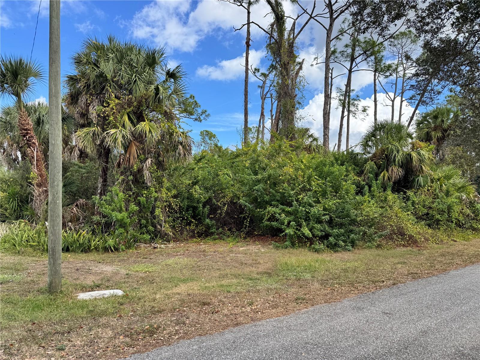 Land in PORT CHARLOTTE 4