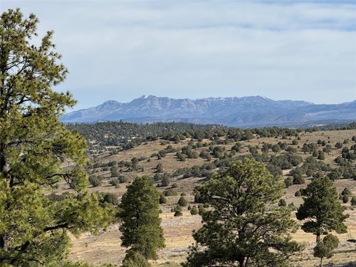 0 Garth Tract, Los Ojos, NM, 87551 | Card Image