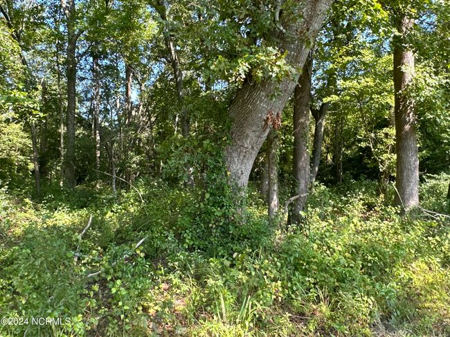 322 Summerfield Rd, Home with 0 bedrooms, 0 bathrooms and null parking in Ernul NC | Image 4