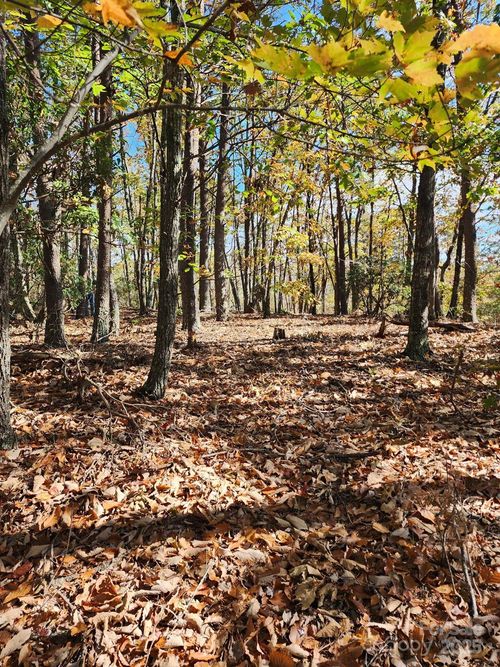 35-0 Mountain Lookout Dr, Bostic, NC, 28018 | Card Image