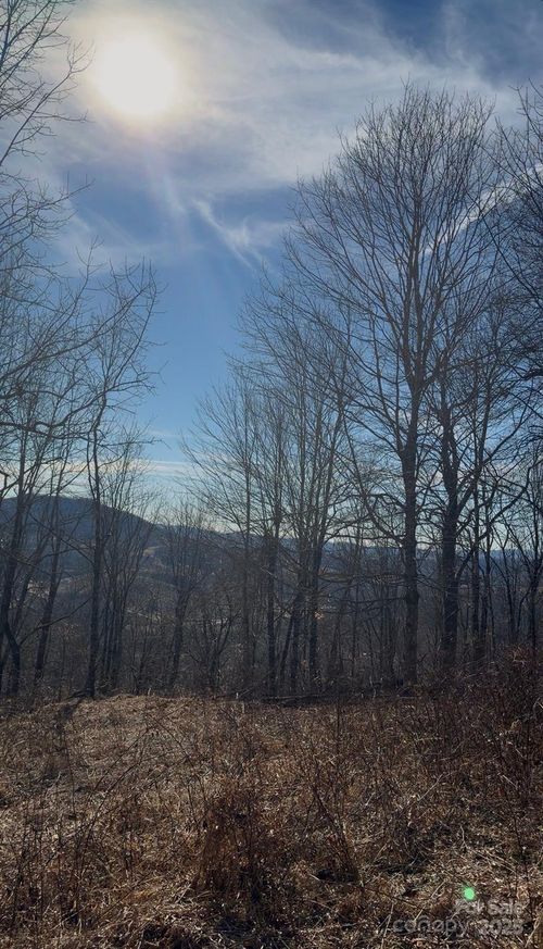 TBD Mystery Mountain Rd, West Jefferson, NC, 28694 | Card Image