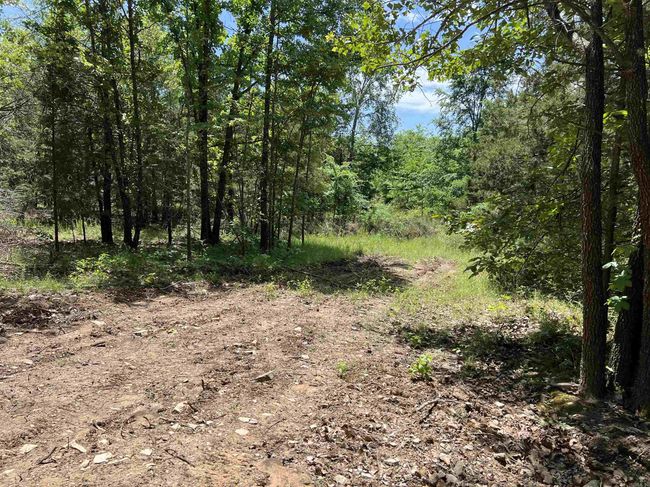 1 Eclipse Rd, Home with 0 bedrooms, 0 bathrooms and null parking in Saint Joe AR | Image 19