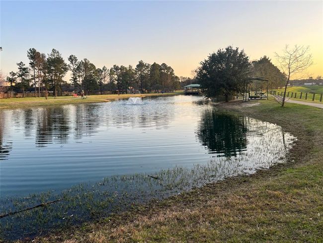28723 Sedgefield St, House other with 5 bedrooms, 3 bathrooms and 2 parking in Spring TX | Image 28