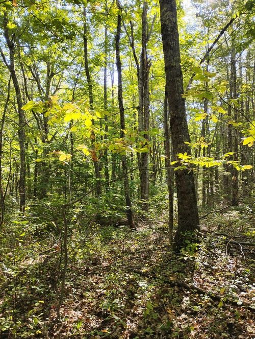 2 Bicknell Road, Belmont, ME, 04952 | Card Image