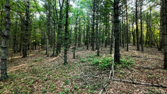 Parcel 2-21 | Image 5