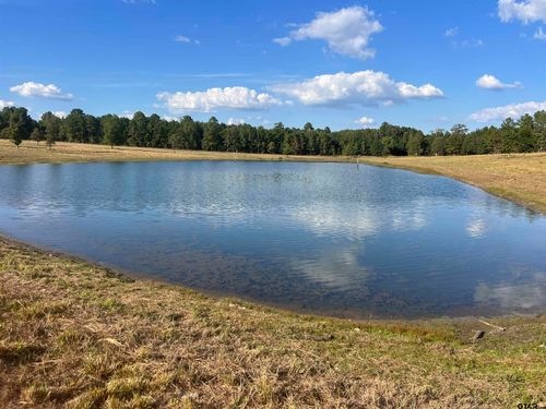 Tract 2 Pr 6734, Avinger, TX, 75630 | Card Image