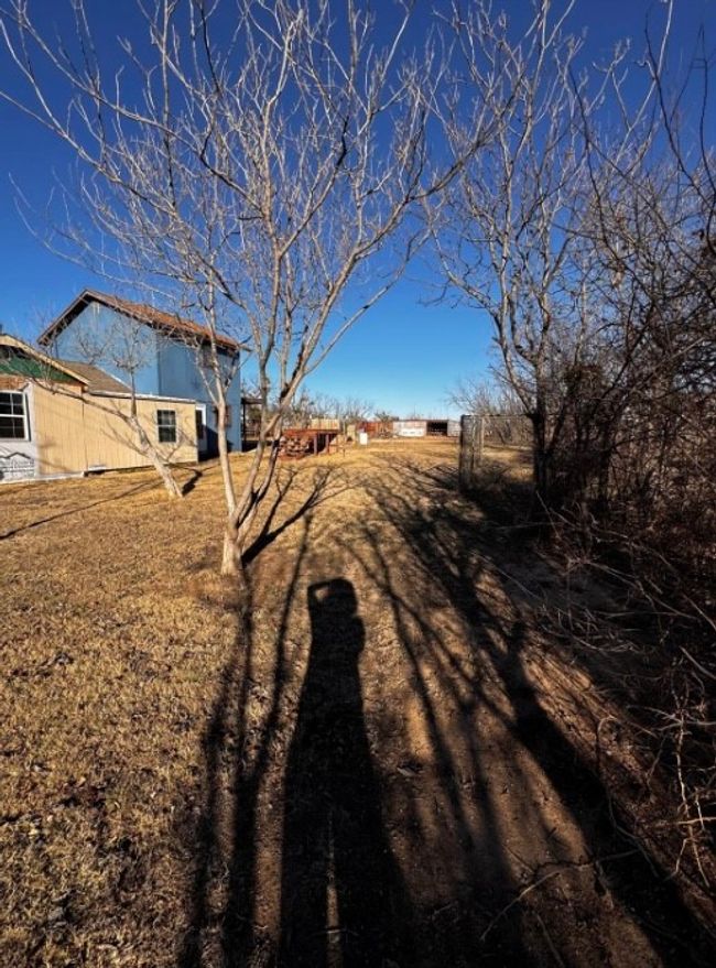 View of yard | Image 10