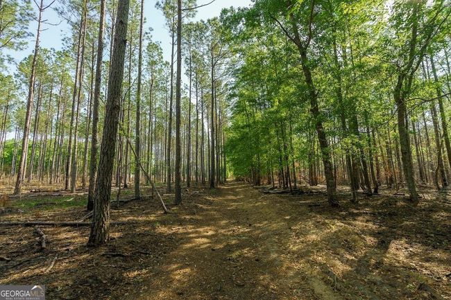 6053 Sun Hill Grange Rd, Home with 0 bedrooms, 0 bathrooms and null parking in Davisboro GA | Image 6