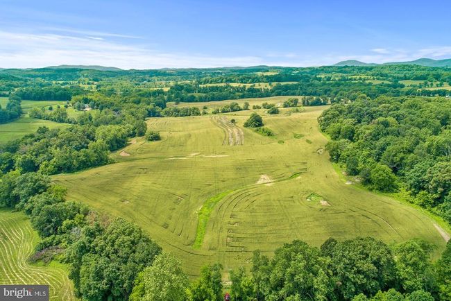 8160 Frogtown Rd, Home with 0 bedrooms, 0 bathrooms and null parking in MARSHALL VA | Image 17