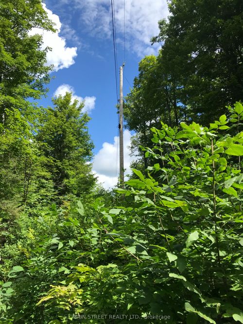 000 Blanchards Rd, Kirkfield, ON, K0M2B0 | Card Image