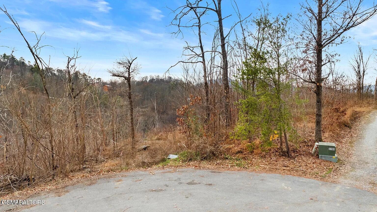Land in Sevierville 2