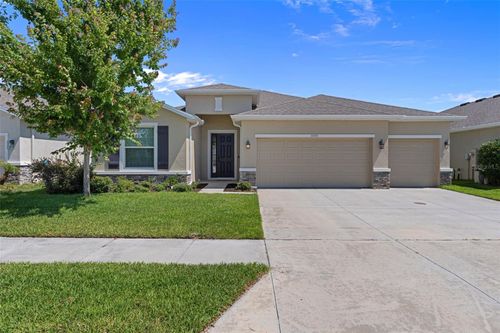 13393 Golden Lime Ave, SPRING HILL, FL, 34609-6538 | Card Image