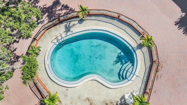 APT-38 - 1515 Bayshore Blvd, Townhouse with 2 bedrooms, 3 bathrooms and null parking in DUNEDIN FL | Image 21