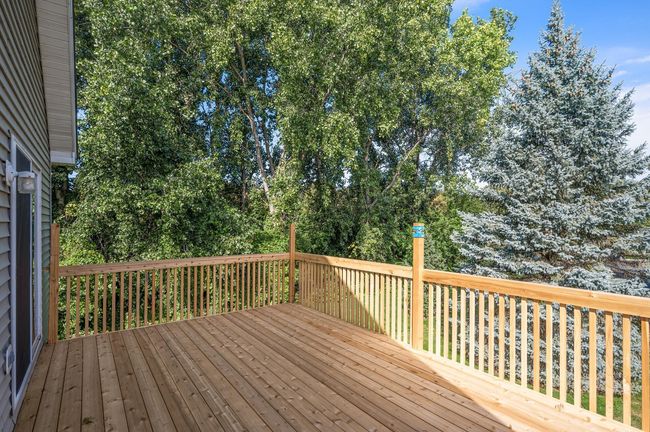 Brand new deck | Image 16