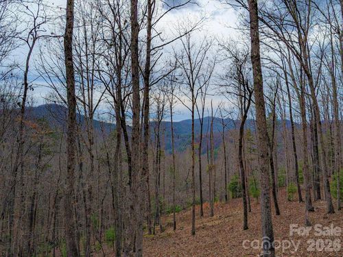 32-51 Wild Turkey Loop, Marshall, NC, 28753 | Card Image
