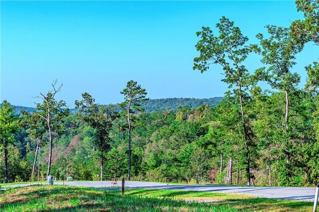 50 Jakes Landing Way S, Home with 0 bedrooms, 0 bathrooms and null parking in Ellijay GA | Image 9
