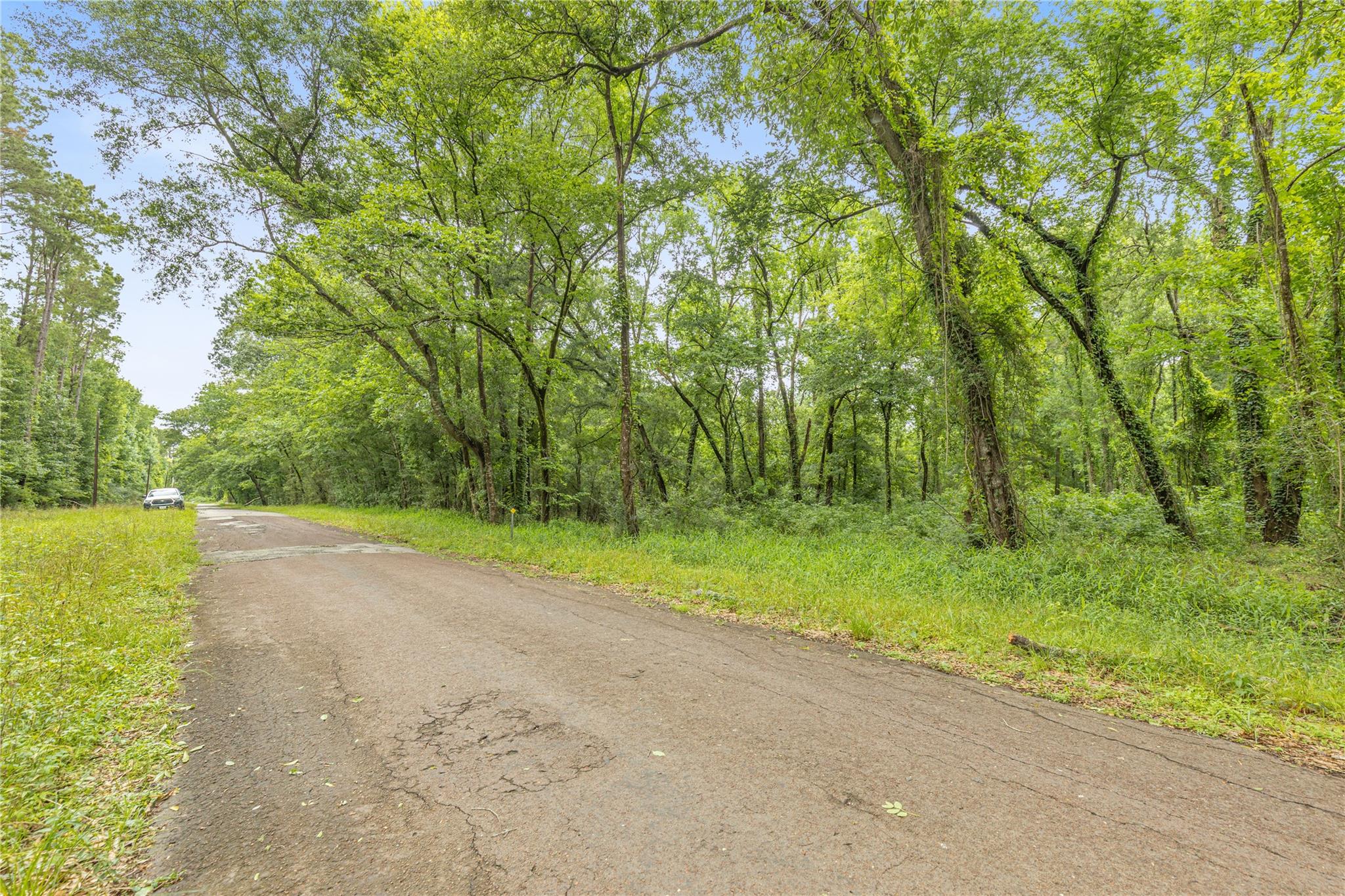 Land in Conroe 3