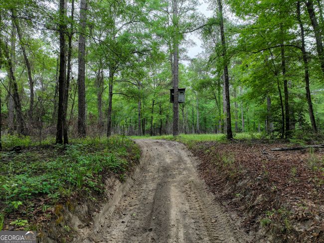 6620 Jr Sims Rd, Home with 0 bedrooms, 0 bathrooms and null parking in Irwinton GA | Image 8