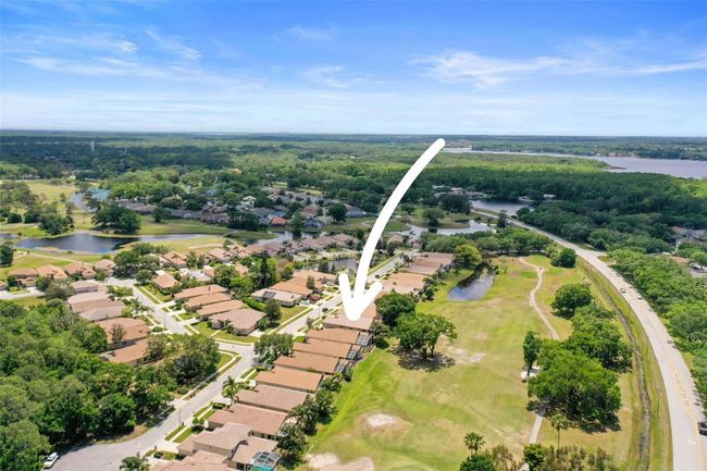3964 Silk Oak Ln, House other with 3 bedrooms, 2 bathrooms and null parking in PALM HARBOR FL | Image 56
