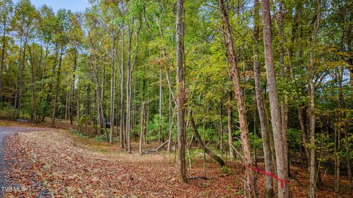 Lot 4 Mary Patton Hwy, Elizabethton, TN, 37643 | Card Image