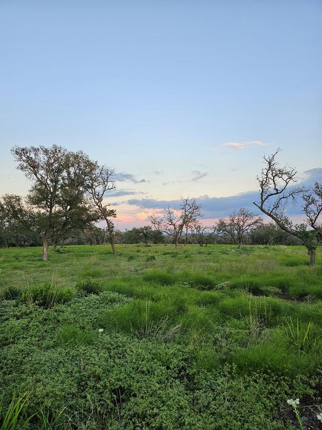 8 - 8 Silas Trail, Home with 0 bedrooms, 0 bathrooms and null parking in Fredericksburg TX | Image 5