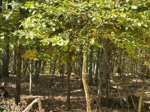 353 Westwood Ln, Hawley, PA, 18428 | Card Image