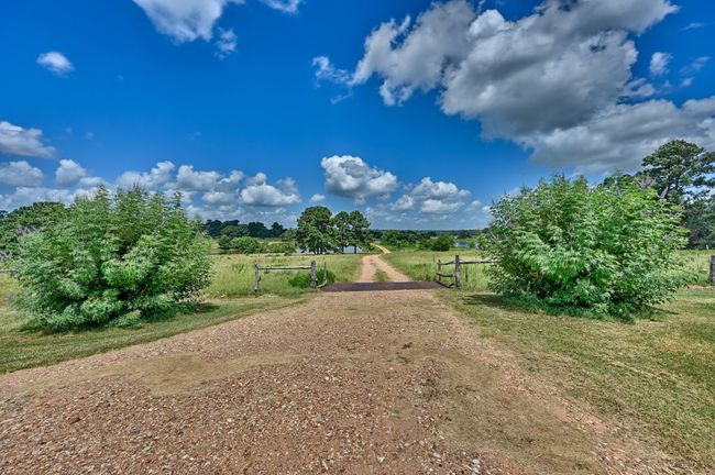 Scenic driveway leading to the main road. | Image 41