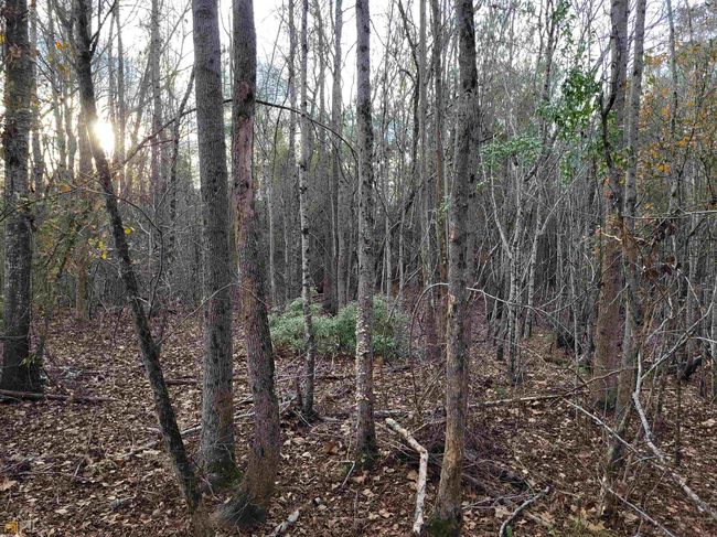 2757 Us Highway 1 N, Home with 0 bedrooms, 0 bathrooms and null parking in swainsboro GA | Image 36