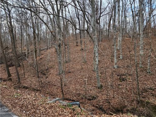 0 W Garretts Creek Rd, Westmoreland, TN, 37186 | Card Image