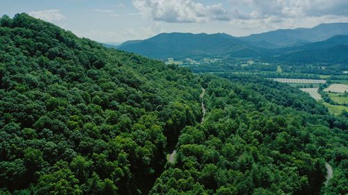 207 Shake Hollow Drive, Rabun Gap, GA, 30568 | Card Image