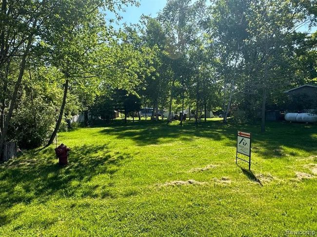 Back view of the yard | Image 4