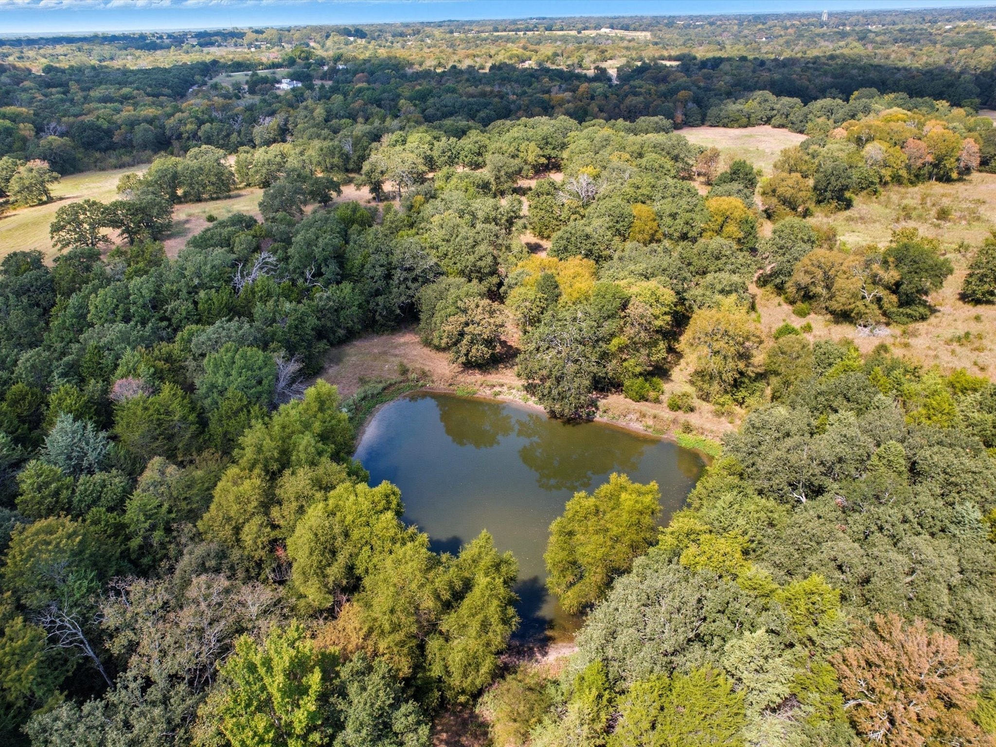 Land in Terrell 2