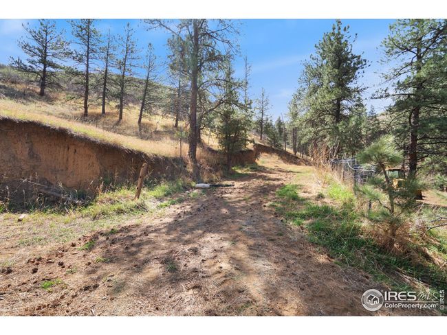 7301 Poudre Canyon Rd, House other with 5 bedrooms, 4 bathrooms and null parking in Bellvue CO | Image 28