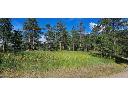 27903 Pine Dr, Evergreen, CO, 80439-8333 | Card Image