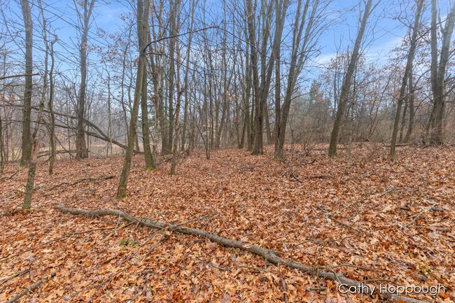 PARCEL-1 - V/L W Snows Lake Road, Home with 0 bedrooms, 0 bathrooms and null parking in Fenwick MI | Image 12