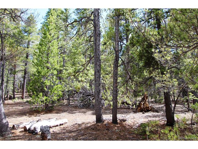 435 Aspen Rd, Home with 0 bedrooms, 0 bathrooms and null parking in Black Hawk CO | Image 7