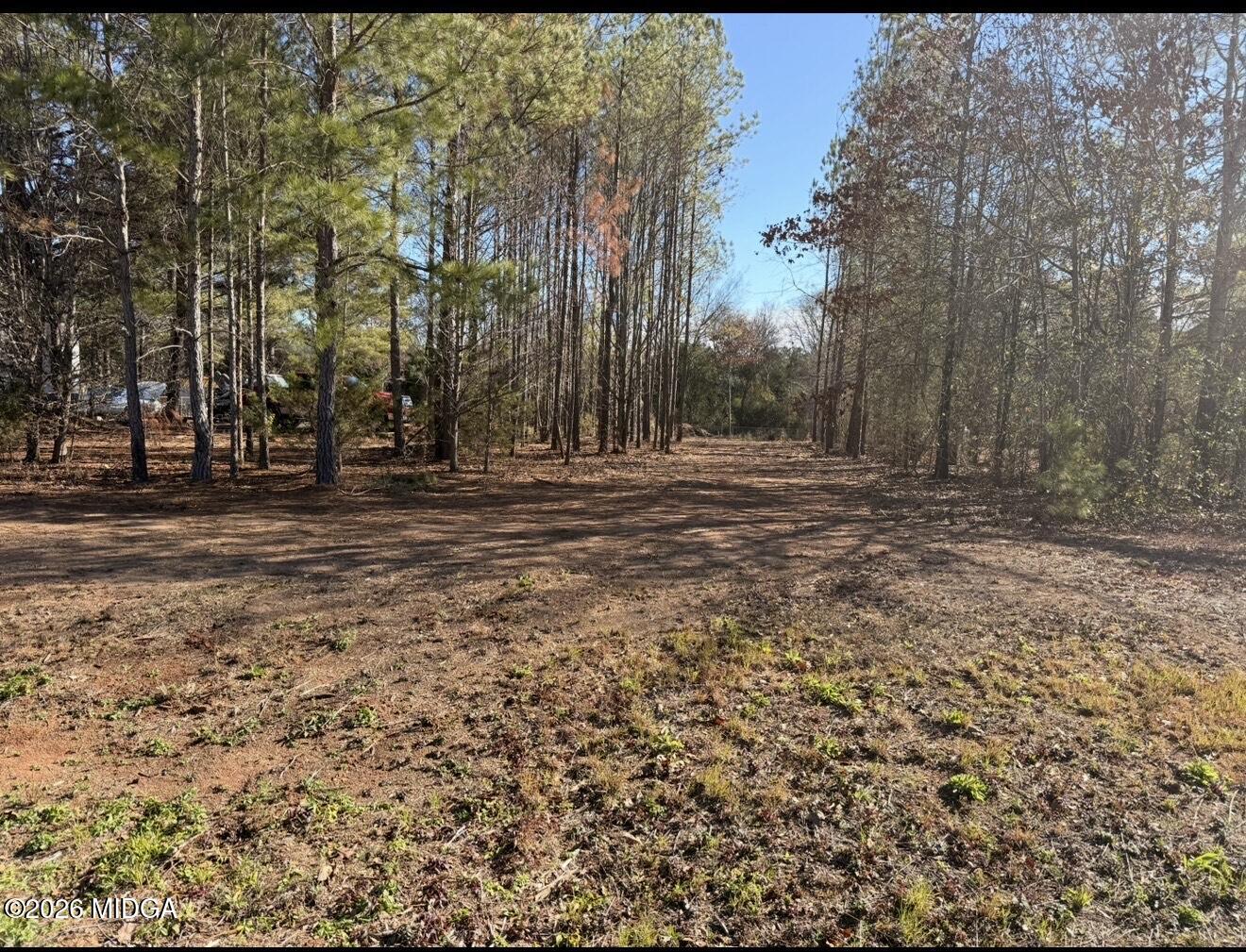Land in Macon