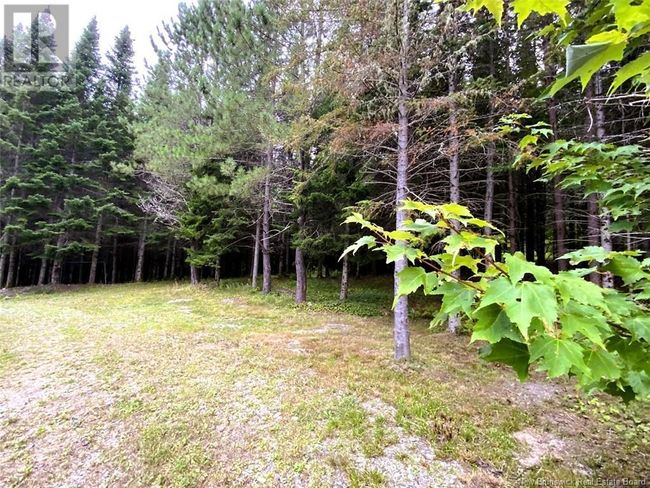 1454 2 E Sault Rd, House other with 3 bedrooms, 4 bathrooms and null parking in Saint Joseph NB | Image 37