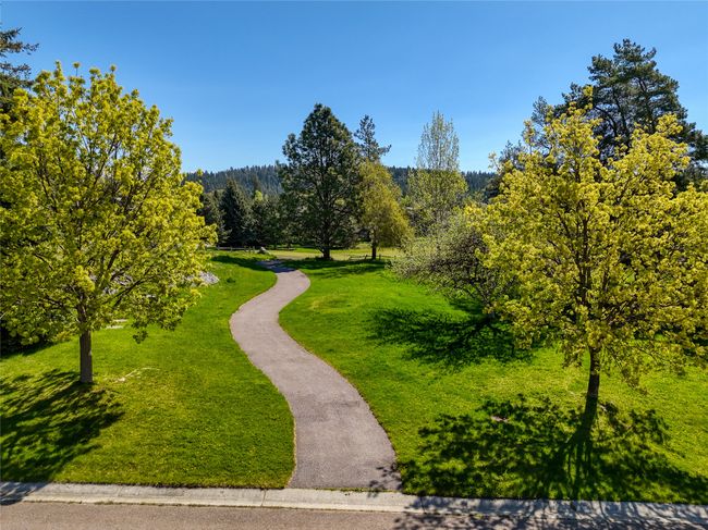 Paths to walk on! | Image 8