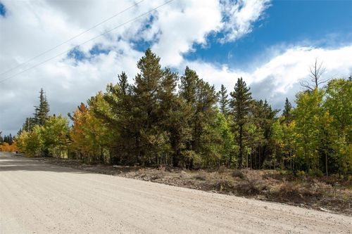 452 Quartzville Rd, ALMA, CO, 80420 | Card Image