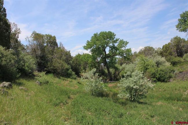 14433 2600 Rd, Home with 0 bedrooms, 0 bathrooms and null parking in Cedaredge CO | Image 29