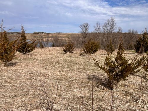 Lot 6 215th St, Barrett, MN, 56311 | Card Image
