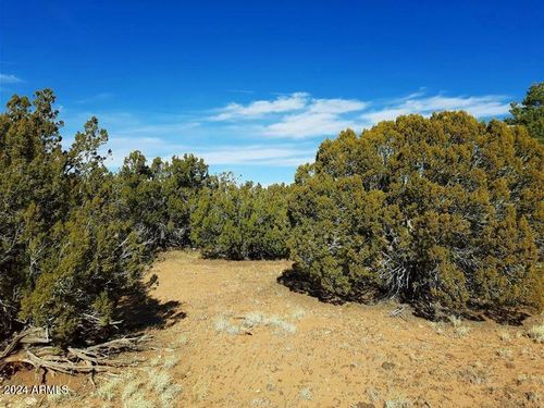 d-4 parcels Shady Oak Trl, Show Low, AZ, 85901 | Card Image