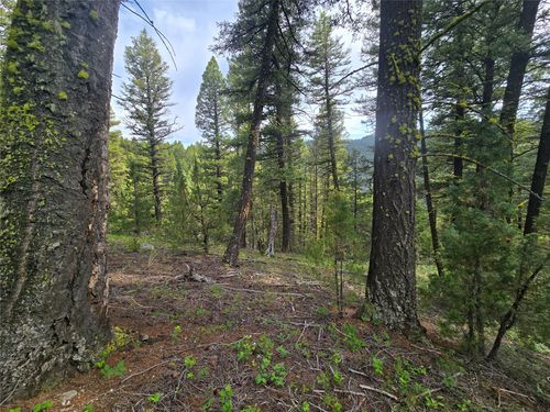 # Johnson Quarta Lode, Philipsburg, MT, 59858 | Card Image