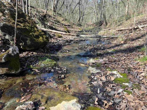 4411 Red Bluff Rd, Marshall, AR, 72650 | Card Image