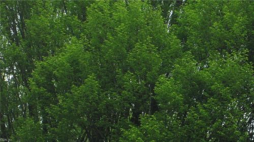 6+ac Fan Park Drive, South Boston, VA, 24592 | Card Image