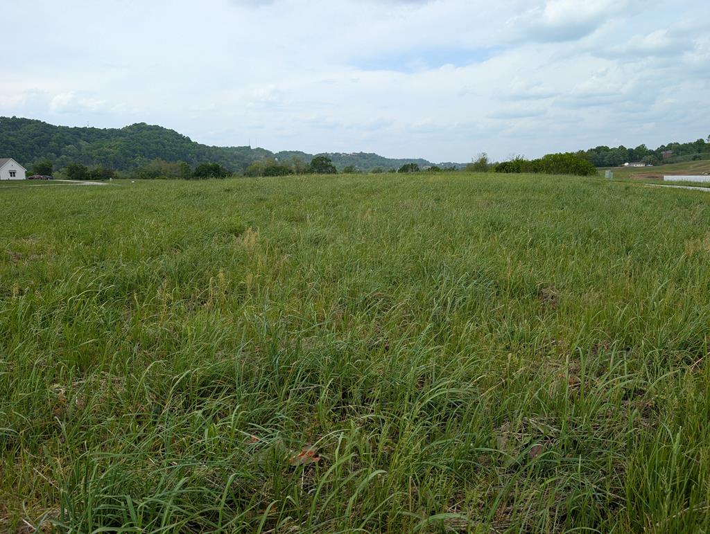 Land in Burkesville