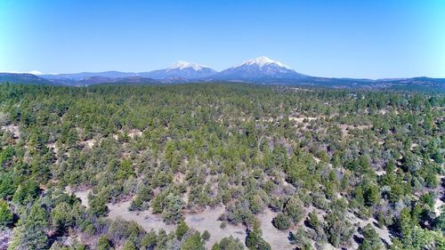 23251 Spirit Mountain Dr, Aguilar, CO, 81020 | Card Image