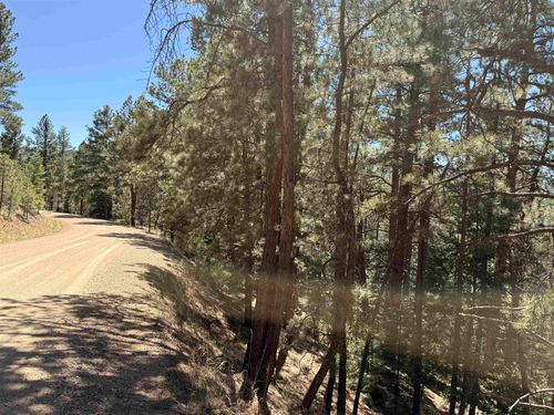 Lot 10 Snowmass Rd, Angel Fire, NM, 87710-8252 | Card Image