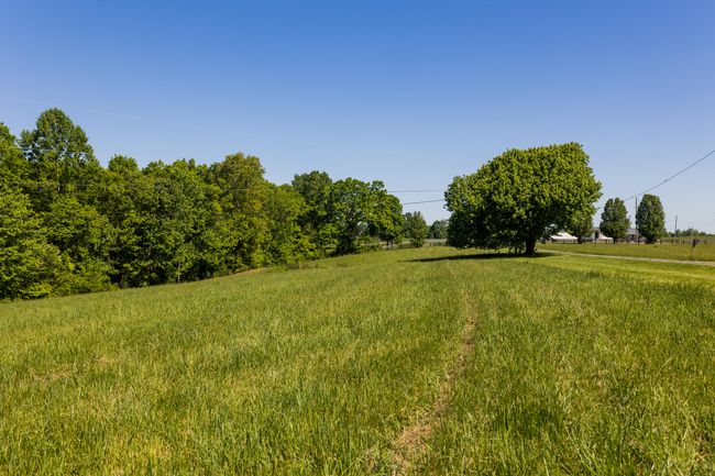 Land | Image 57